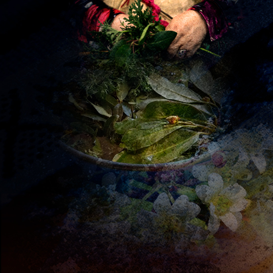 Lawen; el arte del Machi